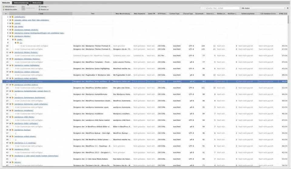 SEO Website Auditor 02