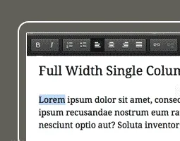 ThemeOptions_WPeasyInlineeditor