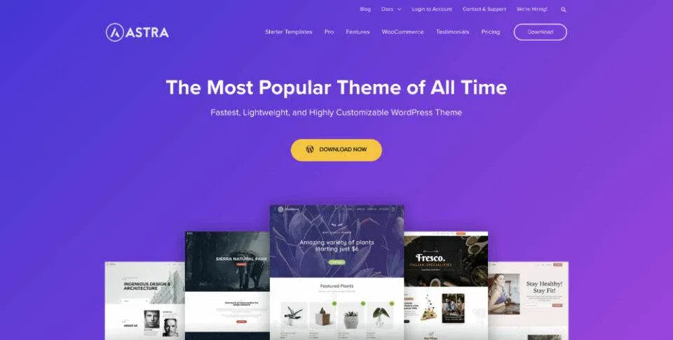 Review WooCommerce Themes Deutsch: Astra