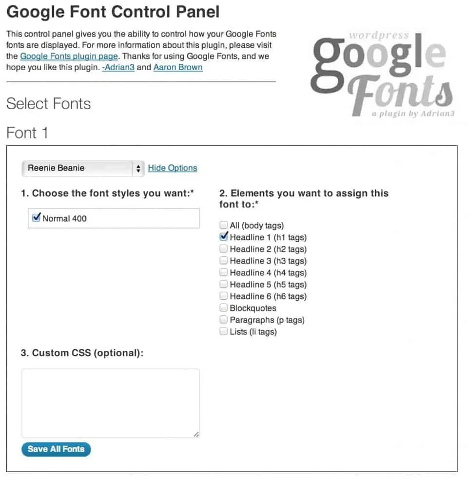 google fonts