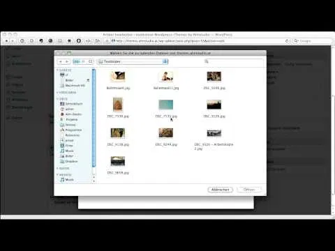 WordPress: Einfügen eines Artikelbildes (Vorschaubild)