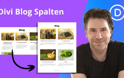 Divi Blog 2 Spalten: Anzahl der Spalten im Divi Blog Modul ändern (Tutorial für Anfänger)