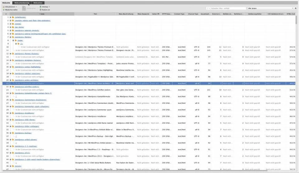 SEO Website Auditor 02