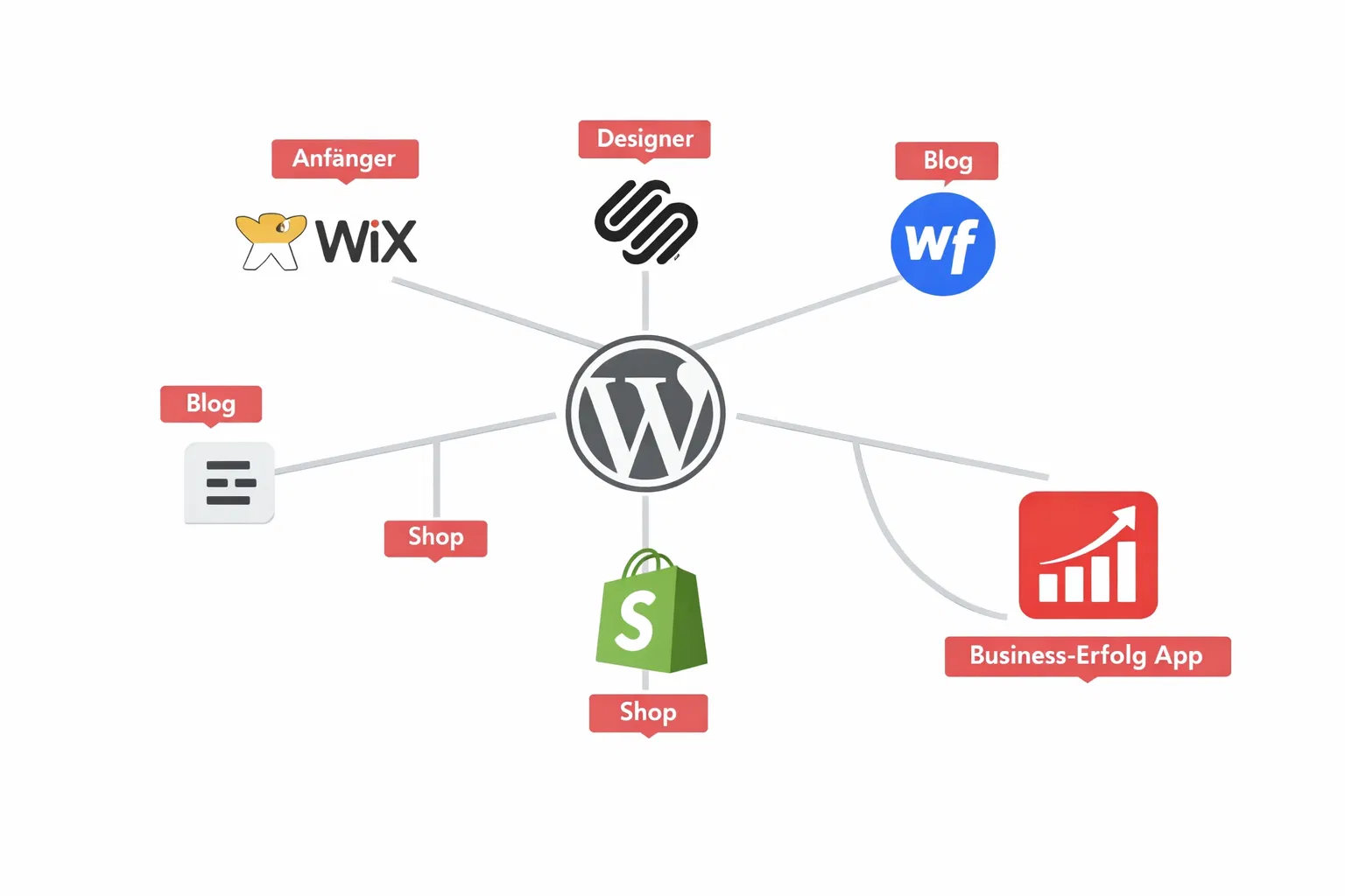 () conceptual illustration showing a branching decision tree with WordPress logo at the root splitting into six colorful