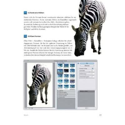 Vektor Pixel – Pixel und Vektor: Kreative Grafiken mit Illus