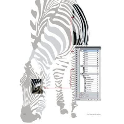 Pixel und Vektor: Kreative Grafiken mit Illus Beispiel: Vektor Pixel