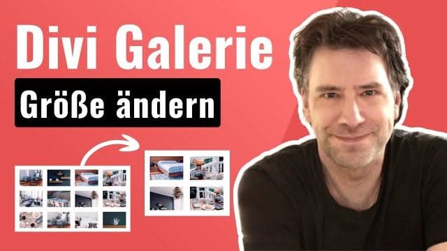 Divi Galerie anpassen: Größe ändern, Format ändern | EINFACH 1 Zeile Code.