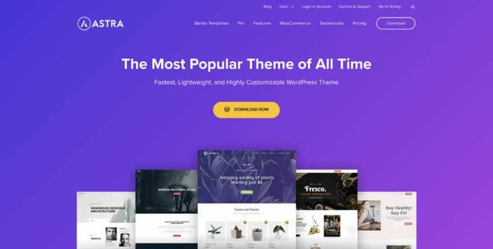 Astra WordPress Theme