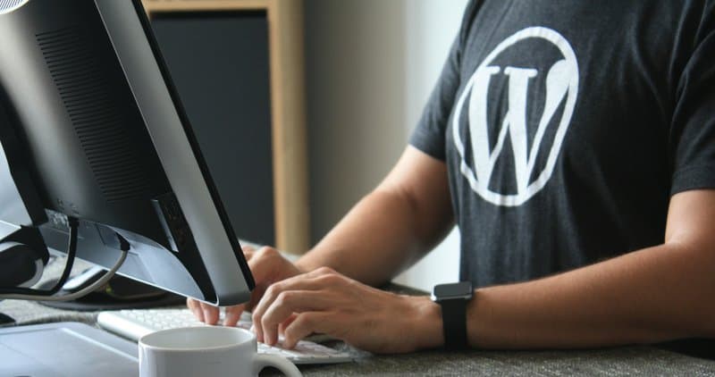 wordpress-wartung vom profi