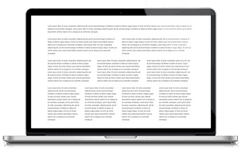 WordPress Themes