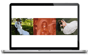 WordPress Themes