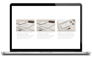 WordPress Themes
