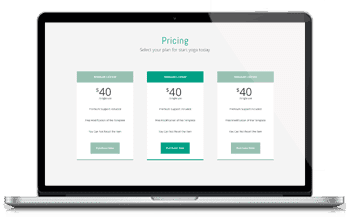 WordPress Themes