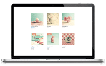WordPress Themes