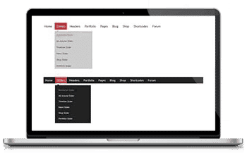 WordPress Themes