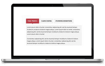 WordPress Themes