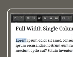 ThemeOptions_WPeasyInlineeditor