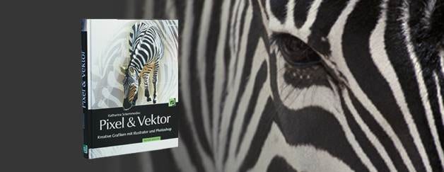 Pixel und Vektor: Kreative Grafiken mit Illustrator und Photoshop