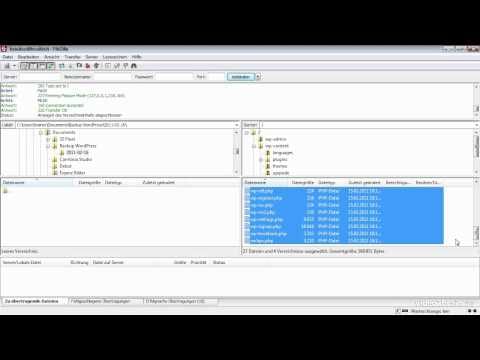 WordPress Backup: Datenbank sichern.
