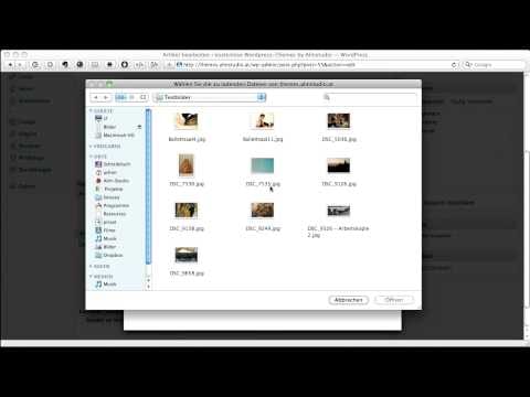 WordPress: Einfügen eines Artikelbildes (Vorschaubild)