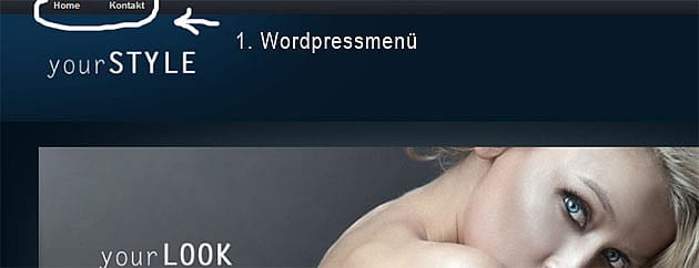 WordPress